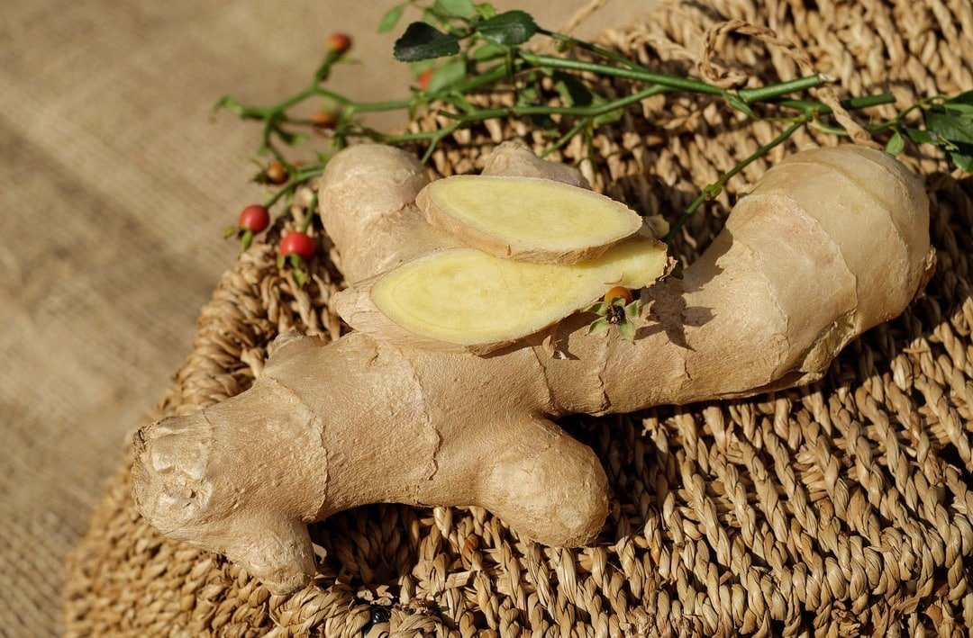 Galangal Health  Benefits